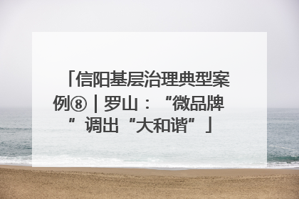 信阳基层治理典型案例⑧｜罗山：“微品牌”调出“大和谐”