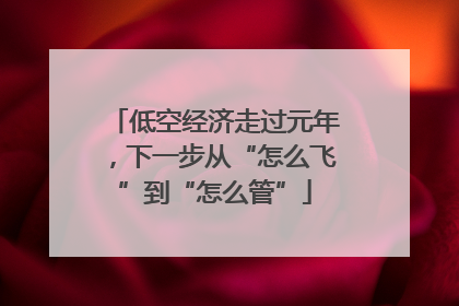 低空经济走过元年，下一步从“怎么飞”到“怎么管”