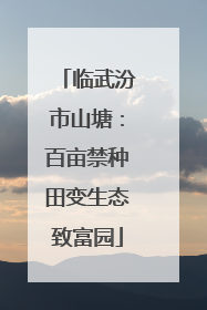 临武汾市山塘：百亩禁种田变生态致富园