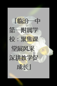 临汾一中第一附属学校：聚焦课堂展风采 深耕教学促成长