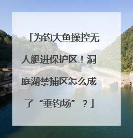 为钓大鱼操控无人艇进保护区！洞庭湖禁捕区怎么成了“垂钓场”？