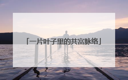 一片叶子里的共富脉络