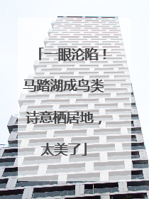一眼沦陷！马踏湖成鸟类诗意栖居地，太美了