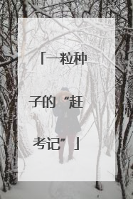 一粒种子的“赶考记”