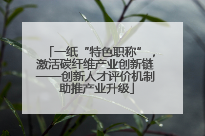 一纸“特色职称”，激活碳纤维产业创新链——创新人才评价机制 助推产业升级