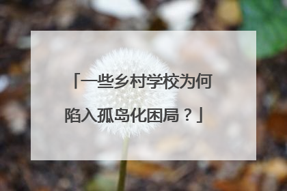 一些乡村学校为何陷入孤岛化困局？