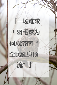 一场难求！羽毛球为何成济南“全民健身顶流”
