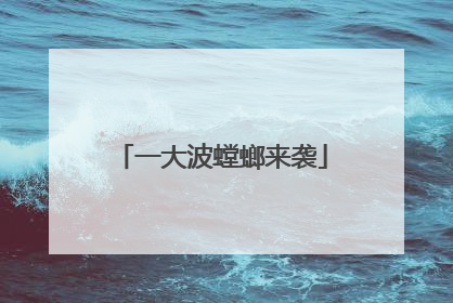 一大波螳螂来袭