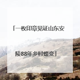 一枚印章见证山东安陵88年乡村蝶变