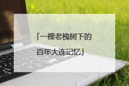 一棵老槐树下的百年大连记忆