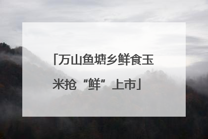 万山鱼塘乡鲜食玉米抢“鲜”上市