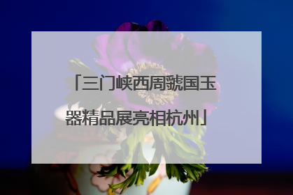 三门峡西周虢国玉器精品展亮相杭州