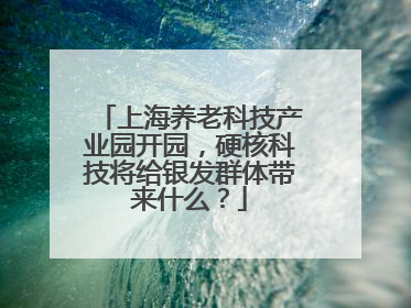 上海养老科技产业园开园，硬核科技将给银发群体带来什么？