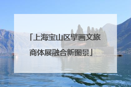上海宝山区擘画文旅商体展融合新图景