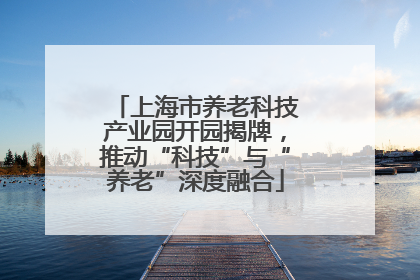 上海市养老科技产业园开园揭牌，推动“科技”与“养老”深度融合