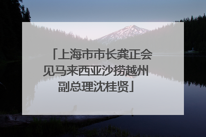 上海市市长龚正会见马来西亚沙捞越州副总理沈桂贤