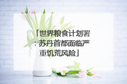 世界粮食计划署：苏丹首都面临严重饥荒风险
