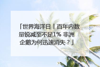 世界海洋日丨百年内数量锐减至不足1% 非洲企鹅为何迅速消失？