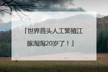 世界首头人工繁殖江豚淘淘20岁了！
