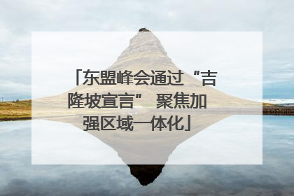 东盟峰会通过“吉隆坡宣言” 聚焦加强区域一体化