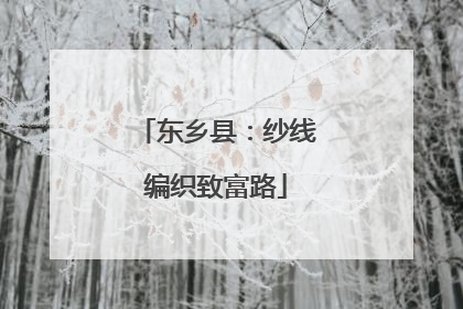 东乡县：纱线编织致富路
