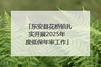 东安县花桥镇扎实开展2025年度低保年审工作
