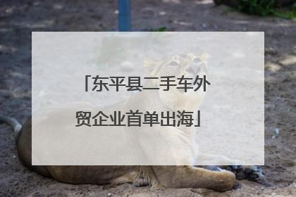 东平县二手车外贸企业首单出海