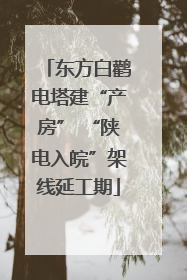 东方白鹳电塔建“产房” “陕电入皖”架线延工期