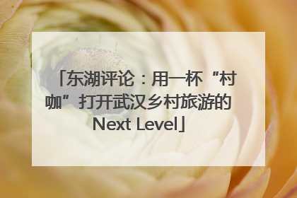 东湖评论：用一杯“村咖”打开武汉乡村旅游的Next Level