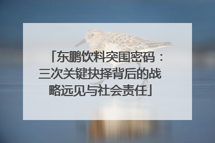 东鹏饮料突围密码：三次关键抉择背后的战略远见与社会责任