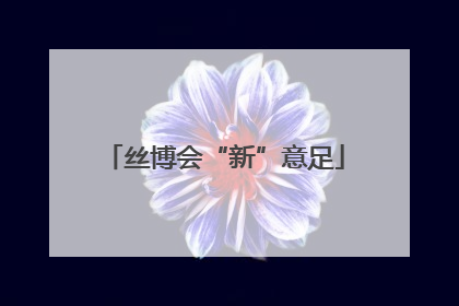 丝博会“新”意足