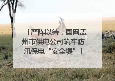 严阵以待，国网孟州市供电公司筑牢防汛保电“安全堤”