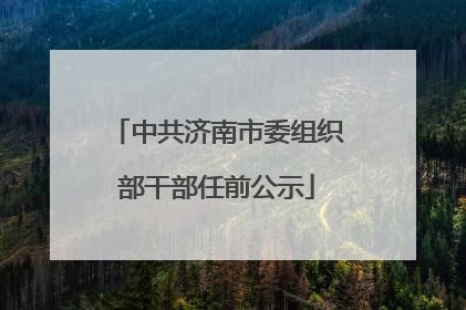 中共济南市委组织部干部任前公示