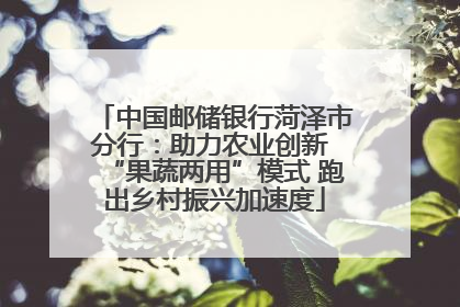 中国邮储银行菏泽市分行：助力农业创新 “果蔬两用”模式 跑出乡村振兴加速度