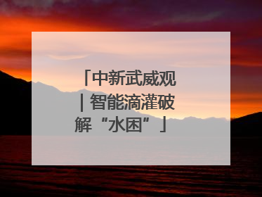 中新武威观｜智能滴灌破解“水困”