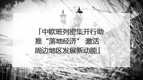 中欧班列密集开行助推“落地经济” 激活周边地区发展新动能