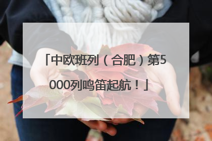 中欧班列（合肥）第5000列鸣笛起航！