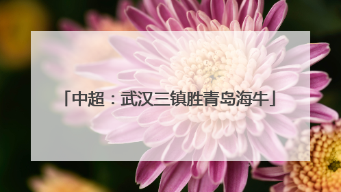 中超：武汉三镇胜青岛海牛
