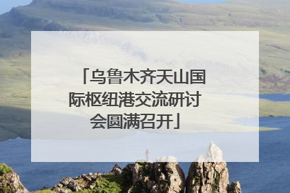 乌鲁木齐天山国际枢纽港交流研讨会圆满召开