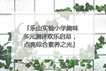 乐山实验小学趣味多元测评欢乐启幕，点亮综合素养之光
