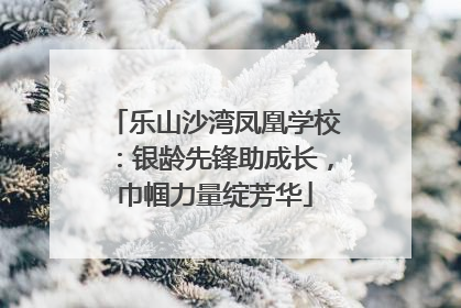 乐山沙湾凤凰学校：银龄先锋助成长，巾帼力量绽芳华