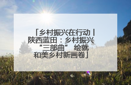 乡村振兴在行动丨陕西蓝田：乡村振兴 “三部曲” 绘就和美乡村新画卷