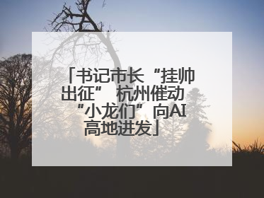 书记市长“挂帅出征” 杭州催动“小龙们”向AI高地进发