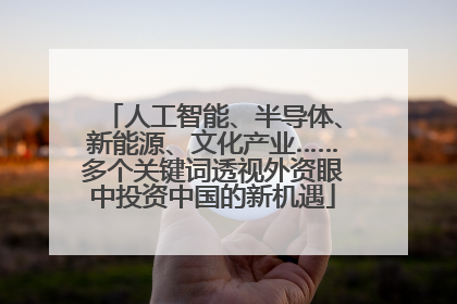 人工智能、半导体、新能源、文化产业……多个关键词透视外资眼中投资中国的新机遇
