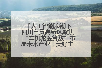人工智能浪潮下 四川自贡高新区聚焦“车机龙医算数”布局未来产业丨美好生活有“盐”味