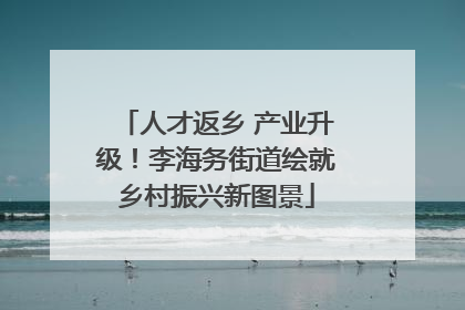 人才返乡 产业升级！李海务街道绘就乡村振兴新图景