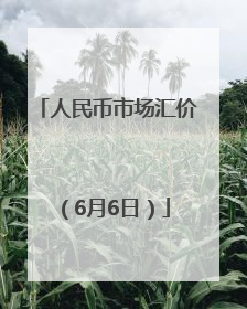 人民币市场汇价（6月6日）