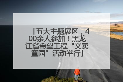 五大主题展区，400余人参加！黑龙江省希望工程“义卖童园”活动举行