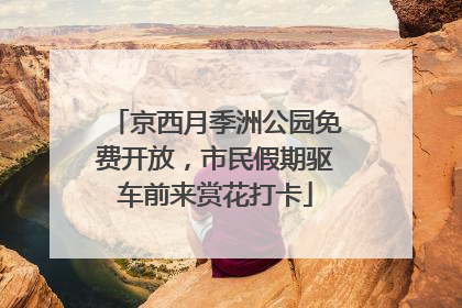 京西月季洲公园免费开放，市民假期驱车前来赏花打卡