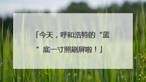 今天，呼和浩特的“蓝”底一寸照刷屏啦！